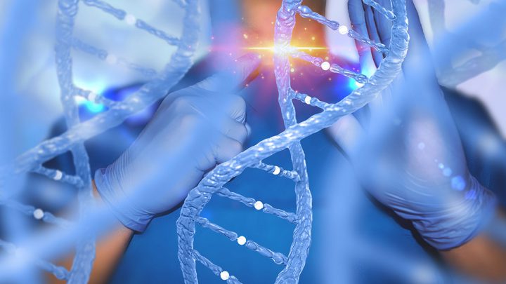 A preciosa precisão