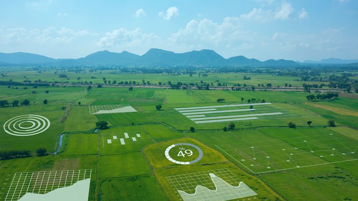 Desafios do Mundo Rural